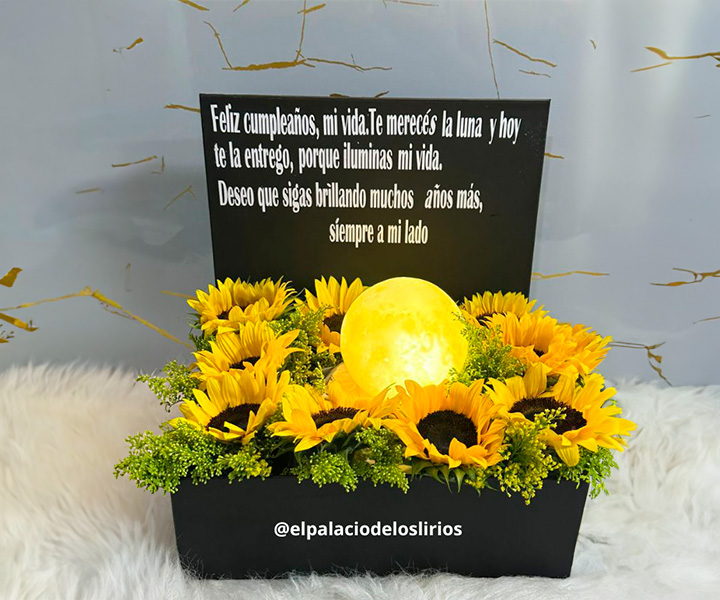 Caja de girasoles iluminada Ref. 21 - 219